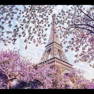 Paris Theme Coasters